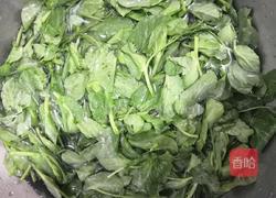 清炒豆苗的做法图解1