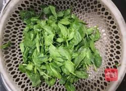清炒豆苗的做法图解2