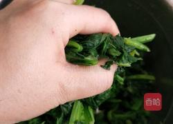 白芸豆拌菠菜的做法图解7