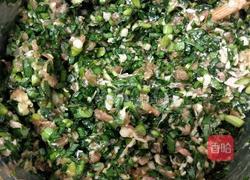 韭菜猪肉饺子的做法图解14