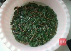 蒜泥马齿苋的做法图解2