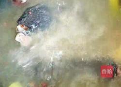 云南鬼鸡的做法图解3