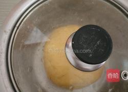 南瓜花朵馒头的做法图解9