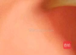 开胃柿子糕的做法图解8