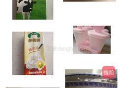 牛奶味雪糕的做法图解1