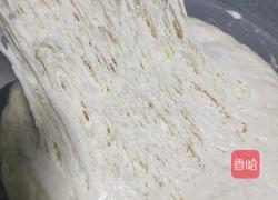 鲜肉包子的做法图解26