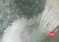 芒果蜜豆西米露的做法图解3