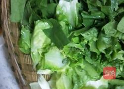 炝炒油麦菜 的做法图解1