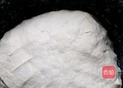 家常懒人版肉包子的做法图解1