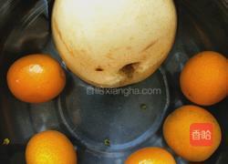冰糖金桔雪梨的做法图解2
