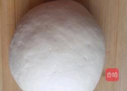 口口脆掉渣烧饼的做法图解19