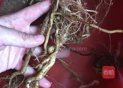 防风草炖老鸡的做法图解3