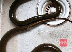 红烧黄鳝的做法图解1