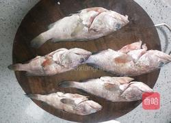 糖烧桂鱼仔的做法图解1