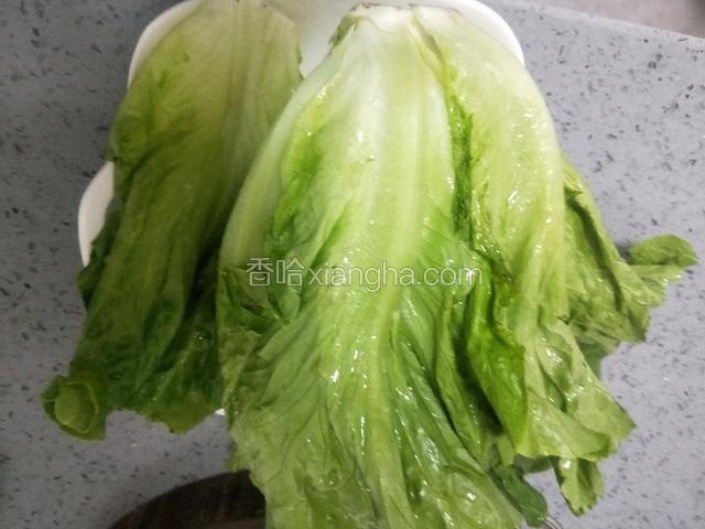 生菜一颗。