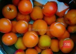 糖渍黄杏的做法图解1