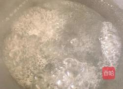 西瓜果冻的做法图解2