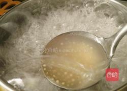 清凉西瓜柠檬西米露的做法图解5
