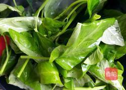 蒜泥空心菜的做法图解6