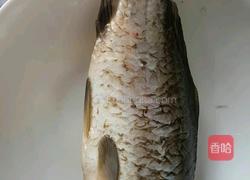 野生鲤鱼豆腐汤的做法图解1