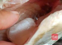 野生鲤鱼豆腐汤的做法图解3