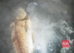 野生鲤鱼豆腐汤的做法图解6