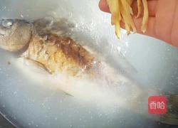 野生鲤鱼豆腐汤的做法图解8