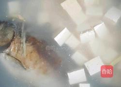 野生鲤鱼豆腐汤的做法图解9
