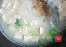 野生鲤鱼豆腐汤的做法图解11