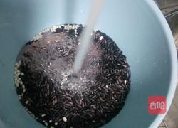 香糯紫米粥的做法图解2