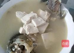 鲫鱼豆腐汤的做法图解11