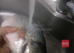 清蒸鲈鱼的做法图解2