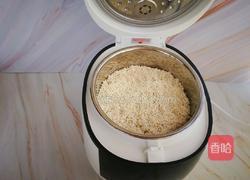 蒸红豆糯米饭的做法图解5