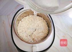 蒸红豆糯米饭的做法图解6