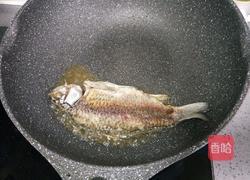 鲫鱼豆腐汤的做法图解6