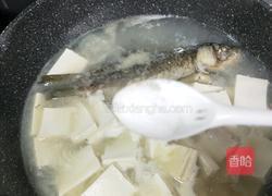 鲫鱼豆腐汤的做法图解13