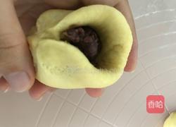红豆沙南瓜包的做法图解8