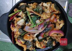 紫苏砂锅牛蛙（田鸡）的做法图解7