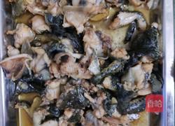 紫苏砂锅牛蛙（田鸡）的做法图解4