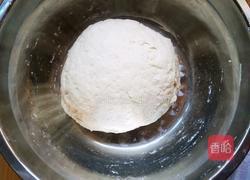 家常包子的做法图解5