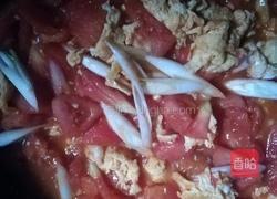 番茄鸡蛋盖浇面的做法图解13