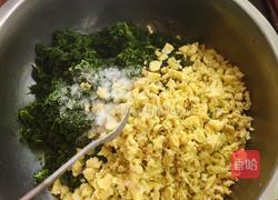 苜蓿草饺子的做法图解3