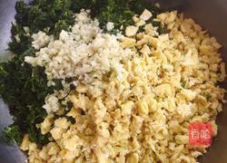 苜蓿草饺子的做法图解5