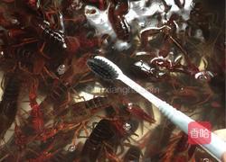 原味红烧小龙虾的做法图解1