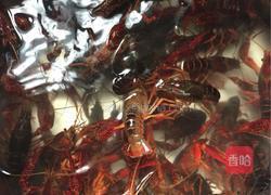 原味红烧小龙虾的做法图解5