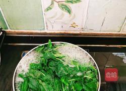 凉拌野菜的做法图解2