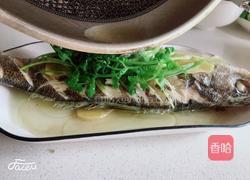 清蒸海鲈鱼的做法图解7