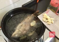清炖鲫鱼的做法图解6