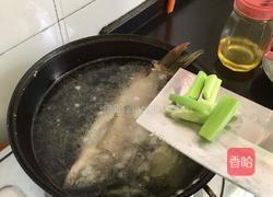 清炖鲫鱼的做法图解7