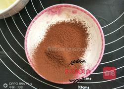 仿真沙皮狗慕斯的做法圖解3